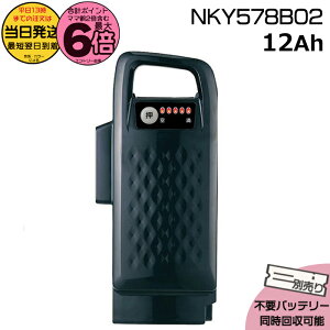 y20̓|Cg6{Gg[vz 13 NKY578B02 ubN 12Ah Vi i pi\jbN Panasonic `ECIobe[ d] dAVXg dCpiS