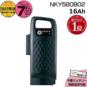 y5̓|Cg7{Gg[vz 13 NKY580B02 ubN16Ah Vi i pi\jbN Panasonic `ECIobe[ d] dAVXg dCpiS@