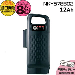 y|Cgő8{Gg[vz 13 NKY578B02 ubN 12Ah Vi i pi\jbN Panasonic `ECIobe[ d] dAVXg dCpiS@