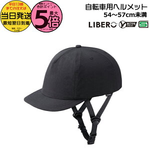 y|Cgő5{Gg[vz 13 LIBERO x NTubN ]ԗpwbg 54`57cm 315g SGKi SG}[NFؕi ЂubN ig ʊw  