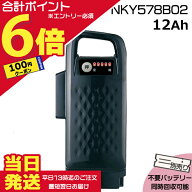 【30日は100円クーポン&ポイント最大6倍エントリー要】＊当日発送 平日13時迄注文分＊ NKY578B02 ブラッ…