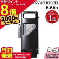 【2000円クーポン先着18日0時〜ポイント最大8倍エントリー要】＊当日発送 平日13時迄注文分＊ NKY491B02B…