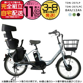 【1000円クーポン＆最大11倍】メーカー直送送料無料※一部地域 2人乗り対応 電動自転車 TDN-207LP / TDN-207LPC ペルテック 20インチ 8Ah 12Ah 電動アシスト自転車 日本電産 後ろチャイルドシート ハンドルロック RBC-015取付発送可 電動 自転車 peltech 防犯登録無料