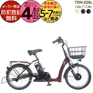 �y1000�N�[�|�����ő�4�{�z���[�J�[���������������ꕔ�n�� �d���A�V�X�g �d�����]�� TDN-209L �y���e�b�N 20�C���` 8Ah 12Ah �d���A�V�X�g���]�� ���{�d�Y�����[�^�[ �Ᏸ �V�j�A�T�C�N�� �����