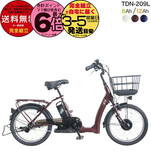 y1000N[|ő6{z[J[ꕔn dAVXg d] TDN-209L yebN 20C` 8Ah 12Ah dAVXg] {dY[^[ Ᏸ VjATCN 