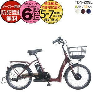 y1000N[|ő6{z[J[ꕔn dAVXg d] TDN-209L yebN 20C` 8Ah 12Ah dAVXg] {dY[^[ Ᏸ VjATCN 