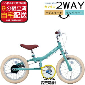 yő9{Ggvz[J[ꕔn ]ԗK LbNoCN y_t u[Lt TJCTCN TWOWAYBIKE RUNN TW14 14C` 2way c[EFC 2 3 LbYoCN 