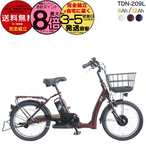 y1000N[|ő8{z[J[ꕔn dAVXg d] TDN-209L yebN 20C` 8Ah 12Ah dAVXg] {dY[^[ Ᏸ VjATCN 