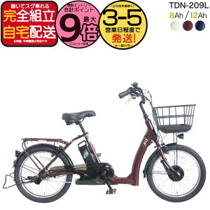 y1000N[|ő9{z[J[ꕔn dAVXg d] TDN-209L yebN 20C` 8Ah 12Ah dAVXg] {dY[^[ Ᏸ VjATCN 