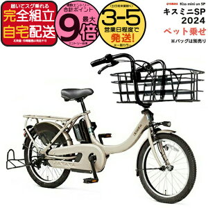 yő9{Ggvz ꕔn̂ LX~jASP eʃobe[ 15.8Ah pX LbX ~j A SP PA20KSP }n ו̃}}ybg悹   dAVXg] 