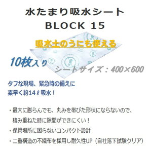 hАl ܂zV[gBLOCK15(14L×10)ŷ  R Z 䕗 Q R΍ h J ЊQ i y C Oh Ɨl ̗l wZl ۈ{ H H ^