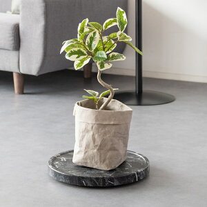 y[J[zyszywszykCEEsz{쏊 Treno(g[m) v^[X^h ubN 30cm 嗝Ε BLX^[t MST-D300-BK