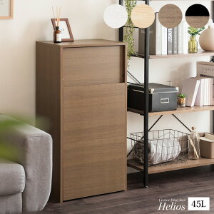 y[J[zyszywszykCEEsz{쏊 Helios(wIX) LX^[_Xg{bNX S~ uE ؐ 45L DB-F1100-BR