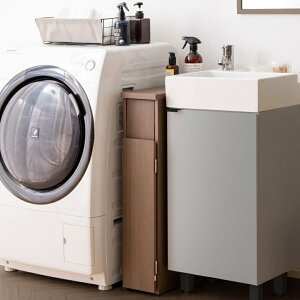 y[J[zyszywszykCEEsz{쏊 SantiaiTeBAj X_Xg{bNX uE 30L 17cm ؐ LX^[t DB-F170-BR