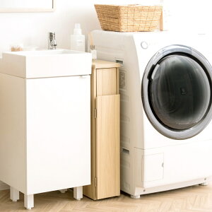 y[J[zyszywszykCEEsz{쏊 SantiaiTeBAj X_Xg{bNX i` 30L 17cm ؐ LX^[t DB-F170-NA