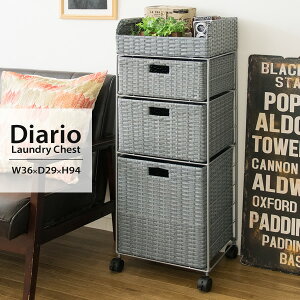 y[J[zyszywszykCEEsz{쏊 Diario(fBAI) h[{bNX u[ LX^[t RB-359-BL