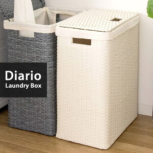 y[J[zyszywszykCEEsz{쏊 Diario(fBAI) h[{bNX AC{[ RB-380-IV