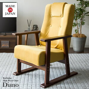 y[J[zyszywszykCEEsz{쏊 Diano(fBA[m) 鍂֎q CG[ { YS-1625-YE