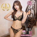 【2,000円OFFクーポン期限僅か】[3点セット] ヌーディベールセクシー育乳脇高ブラジャー&バック透けフルバック&Tバックショーツ [三上悠亜着用][setpt]