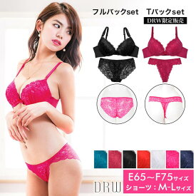 楽天市場 ブラジャー ショーツ セット 大きいサイズの通販