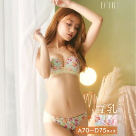 ＼即日配送／【DRW公式】育乳ブラジャー 脇高ブラジャー ショーツ セット 補正下着 ケミカル 水彩 フラワー育乳 脇高 ブラジャー & フルバック ショーツ | 大きいサイズ ブラジャー ショーツ セット 脇肉 贅肉 盛りブラ セット ランジェリー セクシー