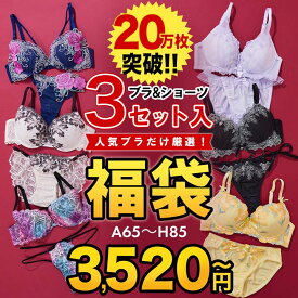 福袋 レディース 下着 ブラジャー & ショーツ プチプラ ブラセット 3組入り | ブラジャー ショーツ セット ブラ ランジェリー 上下セット 女性 インナー drw