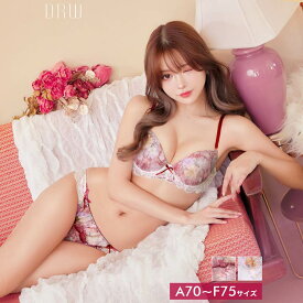 ＼即日配送／【DRW公式】ブラジャー ショーツ セット ラブリー水彩フリル ブラジャー & フルバック ショーツ | 大きいサイズ 下着 レディース セット ランジェリー セクシー ランジェリー ブラ セット ブラ ショーツ セット 上下セット