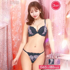 即日発送 育乳ブラジャー 脇高ブラジャー ショーツ セット 補正下着 三上悠亜着用 レーシィ オリエンタル ローズ 育乳 脇高 ブラジャー & フルバック & Tバック ショーツ | 大きいサイズ ブラジャー ショーツ セット 脇肉 贅肉 盛りブラ ブラ セット 下着 レディース セット