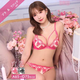 グロリアスバタフライコード育乳脇高ブラジャー&バック透けTバックショーツ [三上悠亜着用]