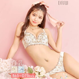 育乳ブラジャー 脇高ブラジャー ショーツ セット 補正下着 トゥインクル ニュアンス フラワー 育乳 脇高 ブラジャー & フルバック ショーツ ブラジャー ショーツ セット 脇肉 贅肉 盛りブラ ブラ