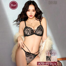 【7/1再販】ドレッシーレースミックスコード育乳脇高ブラジャー&バック透けフルバック&Tバックショーツ