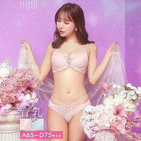 【11/26再販】ブリリアントレーシィライン育乳脇高ブラジャー&フルバックショーツ[三上悠亜着用]