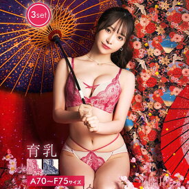 【5/8再販】[3点セット]ブリリアントブルームクロス育乳脇高ブラジャー&フルバック&Tバックショーツ [かとゆり着用]