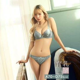 ヴィーナスサテンリボン育乳脇高ブラジャー&フルバックショーツ