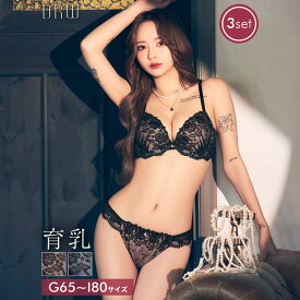[3点セット] [GHIサイズ] エレガンスダークフラワー育乳脇高ブラジャー&フルバック&Tバックショーツ
