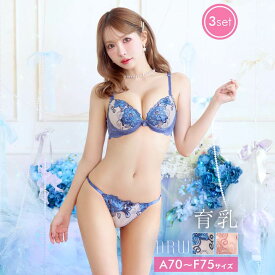 【7/3再販】 [3点セット] ローズブロッサムレース育乳脇高ブラジャー&バック透けフルバック&Tバックショーツ[三上悠亜着用]