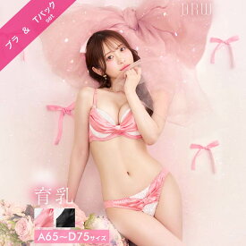 プリティーグロスリボン育乳脇高サテンブラジャー&Tバックショーツ [かとゆり着用][setpt]