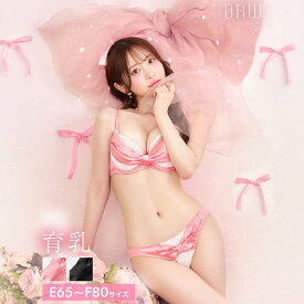 [EFサイズ] プリティーグロスリボン育乳脇高サテンブラジャー&フルバックショーツ [かとゆり着用][setpt]