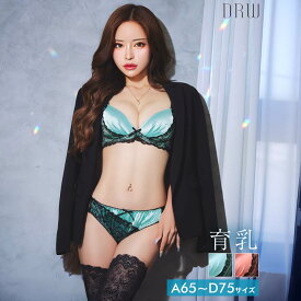 ノーブルサテンレース育乳脇高ブラジャー&バック透けフルバックショーツ