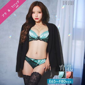 [EFサイズ] ノーブルサテンレース育乳脇高ブラジャー&バック透けTバックショーツ