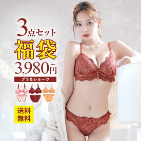 2/10再販!【楽天ランキング1位】送料無料★即日発送【福袋★ブラセット3点入】ブラジャー＆ショーツ3点組入り福袋