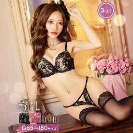 [3点セット] [GHIサイズ] カシュクールヌーディーレース育乳脇高ブラジャー&バック透けフルバック&Tバックショーツ drw 下着 上下セット