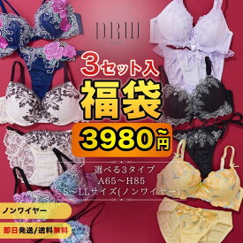 【11/22再販】＼ノンワイヤータイプが登場／ブラジャー&ショーツ 福袋 3点セット [ レディース ブラ ショーツ セット 福袋 ノンワイヤー ブラジャー ショーツ 大きいサイズ かわいい Tバック フルバック レース ]