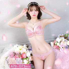 ミルキーフルールレーシィ育乳脇高ブラジャー&フルバックショーツ drw 下着 上下セット