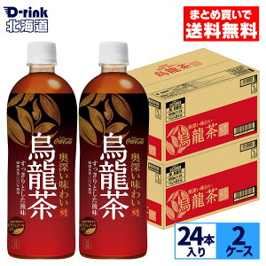 �R�J�E�R�[�� ��(�t�@��) �G���� 650ml �y�b�g�{�g�� 24�{����×2�P�[�X�y���������z