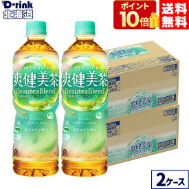 コカ・コーラ 爽健美茶 600ml ペットボトル 24本入り×2ケース【送料無料】