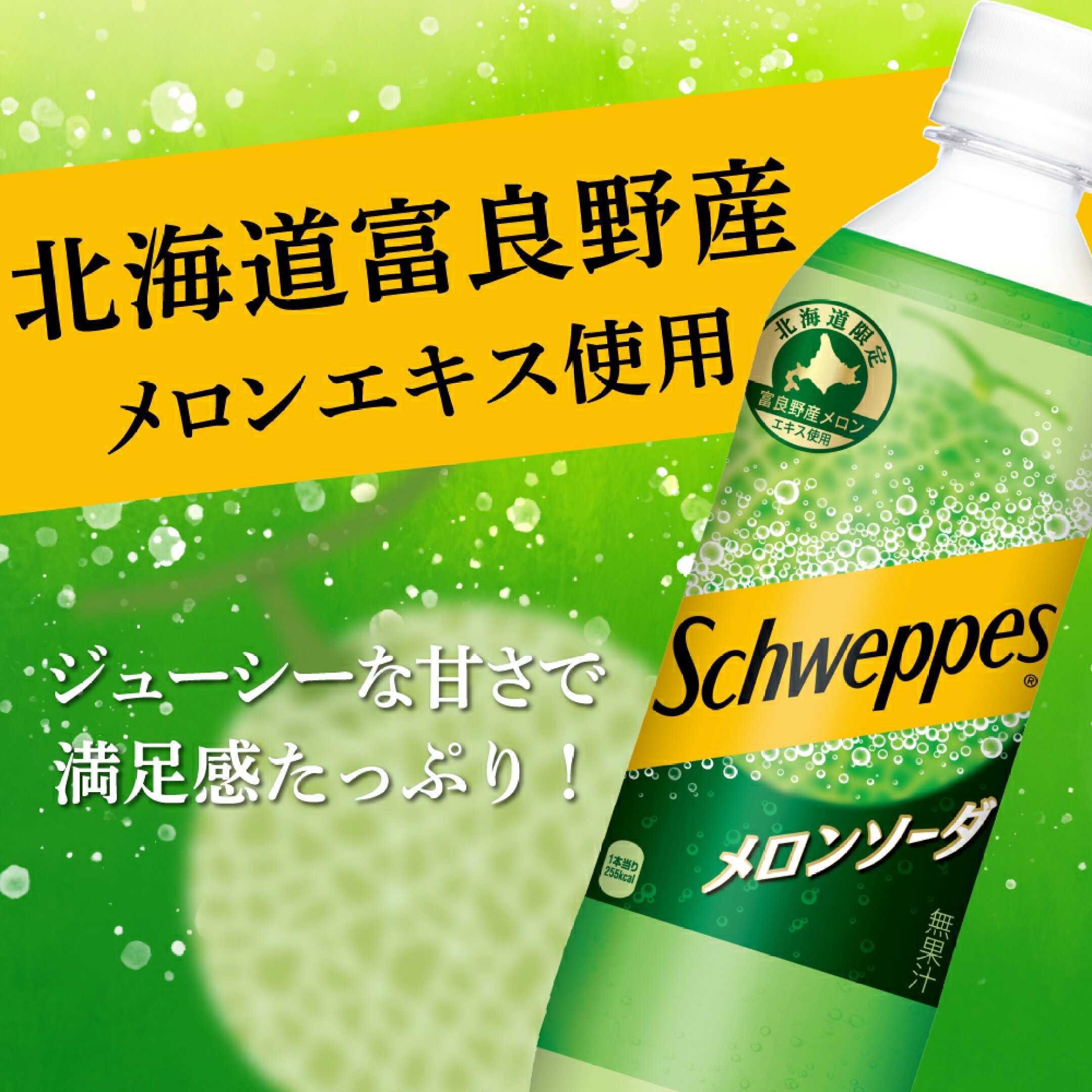 シュウェップスメロンソーダ