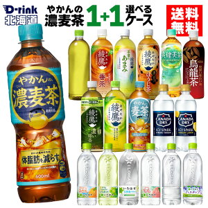 ₩̔Z RJR[i Iׂ ǂ  ₩̔ u ACV[EXp[N ͂ 490ml 500ml 525ml 540ml 600ml 650ml ybg{g 24{×2P[Xyz