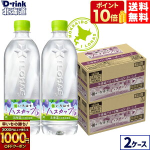 y̏IVKw1000~OFFN[|Ώ 11/30 9:59܂ŁzRJER[ EÉE nXJbv 540ml ybg{g 24{×2P[Xyz