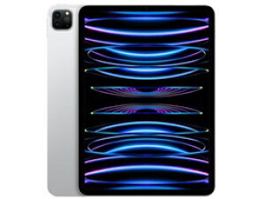 Abv / APPLE iPad Pro 11C` 4 Wi-Fi 256GB 2022NHf MNXG3J/A [Vo[]y^ubgPCzyz